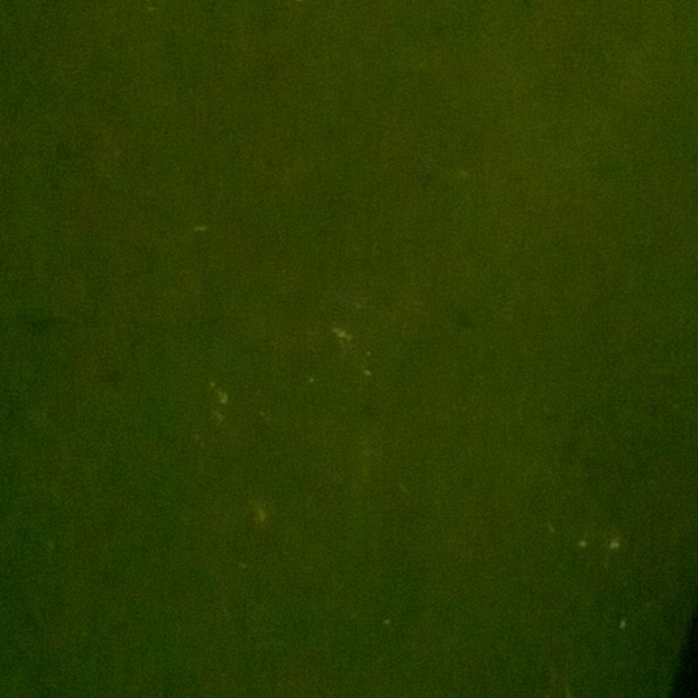 Meet your Posher, Tink